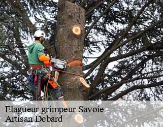 Elagueur grimpeur 73 Savoie  Artisan Debard