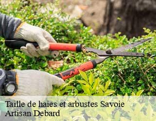 Taille de haies et arbustes 73 Savoie Artisan Debard