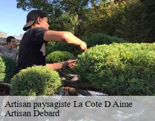 Artisan paysagiste la-cote-d-aime-73210 Artisan Debard