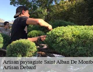 Artisan paysagiste  saint-alban-de-montbel-73610 Artisan Debard
