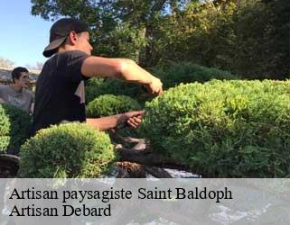Artisan paysagiste saint-baldoph-73190 Artisan Debard