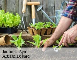 Jardinier ayn-73470 Artisan Debard