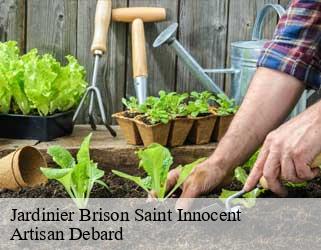 Jardinier brison-saint-innocent-73100 Artisan Debard
