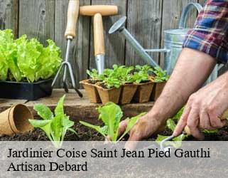 Jardinier  coise-saint-jean-pied-gauthi-73800 Artisan Debard