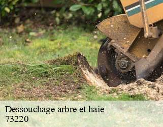 Dessouchage arbre et haie  73220