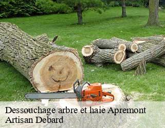 Dessouchage arbre et haie  apremont-73190 Artisan Debard