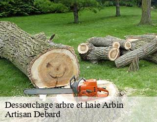 Dessouchage arbre et haie  arbin-73800 Artisan Debard