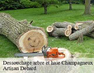 Dessouchage arbre et haie  champagneux-73240 Artisan Debard