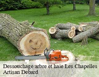 Dessouchage arbre et haie  les-chapelles-73700 Artisan Debard