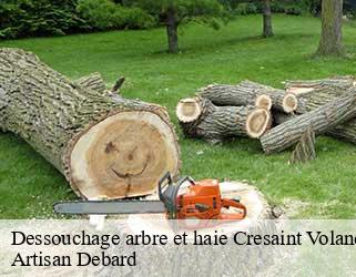 Dessouchage arbre et haie  cresaint-voland-73590 Artisan Debard