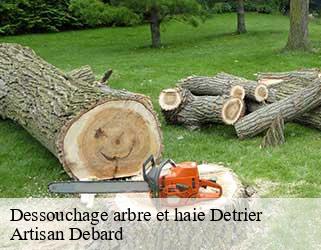 Dessouchage arbre et haie  detrier-73110 Artisan Debard