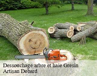 Dessouchage arbre et haie  gresin-73240 Artisan Debard
