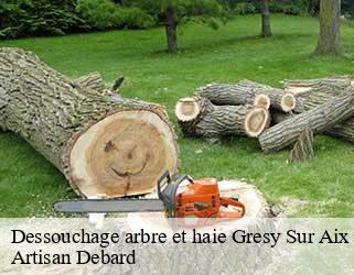 Dessouchage arbre et haie  gresy-sur-aix-73100 Artisan Debard