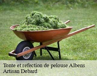 Tonte et refection de pelouse  albens-73410 Artisan Debard