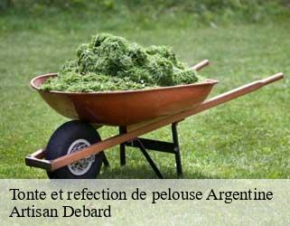 Tonte et refection de pelouse  argentine-73220 Artisan Debard