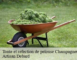 Tonte et refection de pelouse  champagneux-73240 Artisan Debard