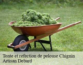 Tonte et refection de pelouse  chignin-73800 Artisan Debard