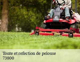 Tonte et refection de pelouse 73800