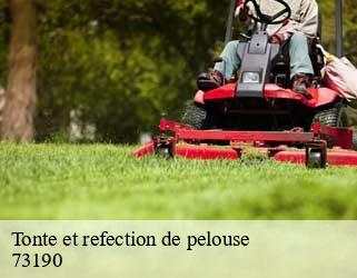 Tonte et refection de pelouse  73190