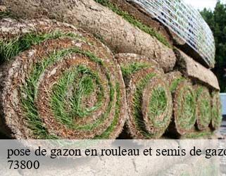 pose de gazon en rouleau et semis de gazon 73800