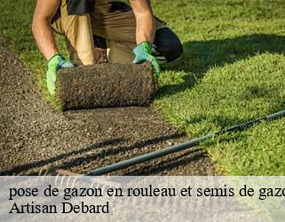 pose de gazon en rouleau et semis de gazon planaise-73800 Artisan Debard