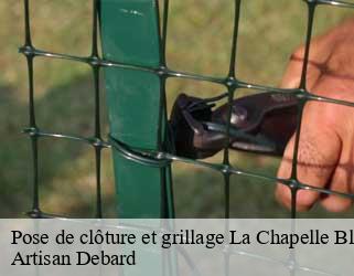 Pose de clôture et grillage la-chapelle-blanche-73110 Artisan Debard