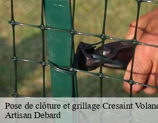 Pose de clôture et grillage  cresaint-voland-73590 Artisan Debard