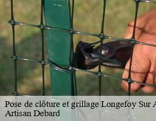 Pose de clôture et grillage  longefoy-sur-aime-73210 Artisan Debard