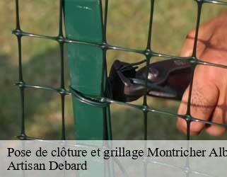 Pose de clôture et grillage  montricher-albanne-73870 Artisan Debard