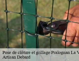 Pose de clôture et grillage pralognan-la-vanoise-73710 Artisan Debard