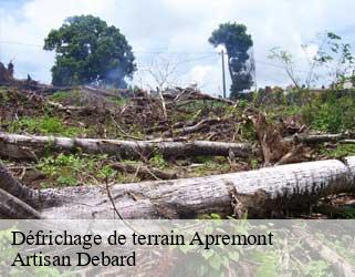 Défrichage de terrain  apremont-73190 Artisan Debard