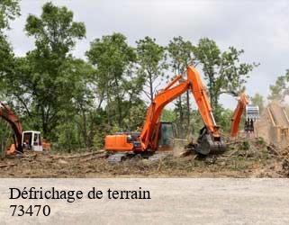 Défrichage de terrain  73470