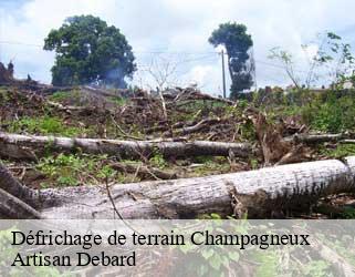Défrichage de terrain  champagneux-73240 Artisan Debard