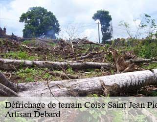 Défrichage de terrain  coise-saint-jean-pied-gauthi-73800 Artisan Debard