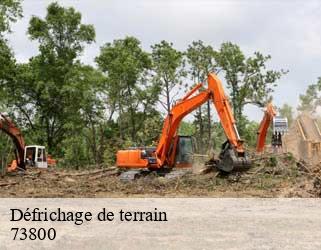 Défrichage de terrain 73800