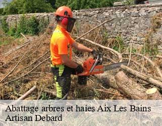 Abattage arbres et haies aix-les-bains-73100 Artisan Debard