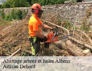 Abattage arbres et haies  albens-73410 Artisan Debard