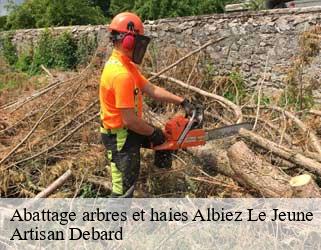 Abattage arbres et haies  albiez-le-jeune-73300 Artisan Debard