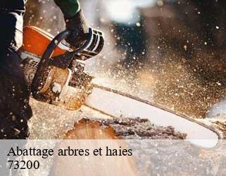 Abattage arbres et haies  73200