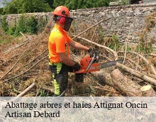 Abattage arbres et haies attignat-oncin-73610 Artisan Debard