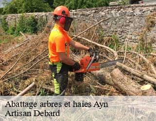 Abattage arbres et haies ayn-73470 Artisan Debard