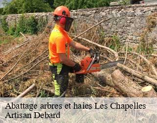 Abattage arbres et haies  les-chapelles-73700 Artisan Debard