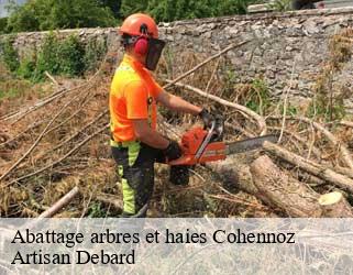 Abattage arbres et haies  cohennoz-73400 Artisan Debard