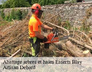 Abattage arbres et haies esserts-blay-73540 Artisan Debard