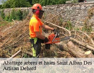 Abattage arbres et haies  saint-alban-des-villards-73130 Artisan Debard