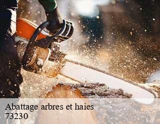 Abattage arbres et haies 73230
