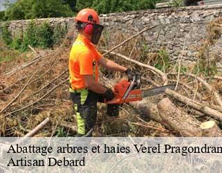 Abattage arbres et haies verel-pragondran-73230 Artisan Debard