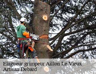 Elagueur grimpeur aillon-le-vieux-73340 Artisan Debard