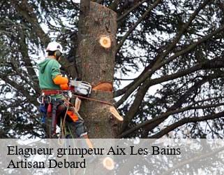 Elagueur grimpeur aix-les-bains-73100 Artisan Debard