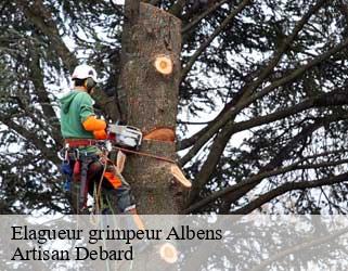 Elagueur grimpeur albens-73410 Artisan Debard